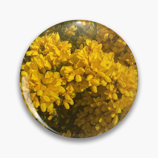Item preview, Gorse at Cromer, Norfolk, UK designed and sold by Kate Anderson Art.