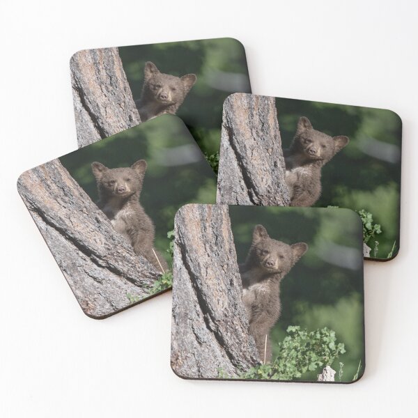 Item preview, Bear cub peek-a-boo designed and sold by wildlifist.