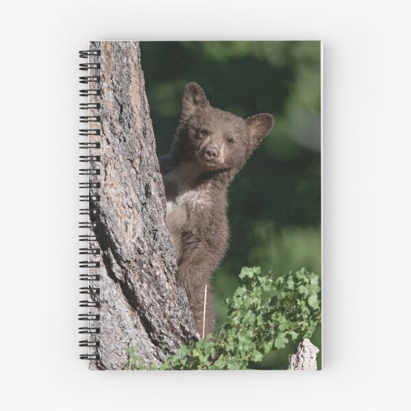 Item preview, Bear cub peek-a-boo designed and sold by wildlifist.