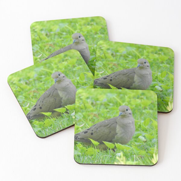 Item preview, Mourning Dove  designed and sold by priesterjen.