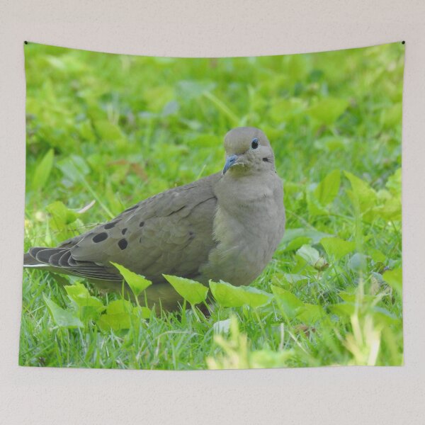 Item preview, Mourning Dove  designed and sold by priesterjen.