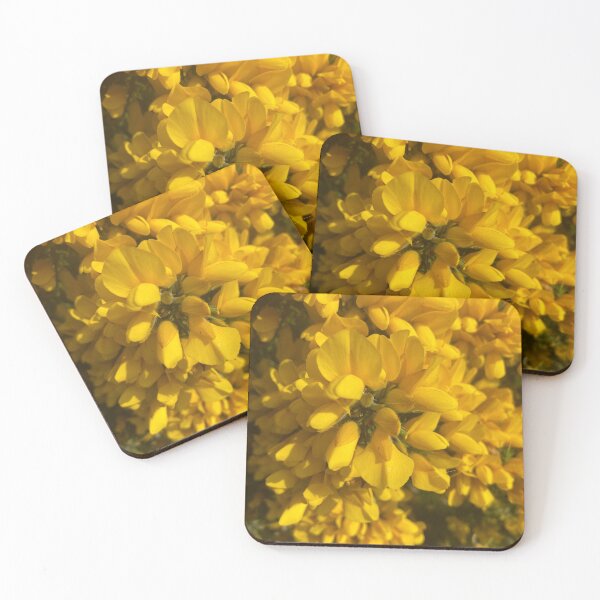 Item preview, Ulex europaeus, Gorse, Cromer, Norfolk, UK designed and sold by Kate Anderson Art.