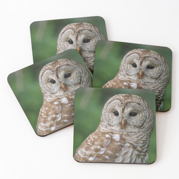 Item preview, Barred Owl  designed and sold by Erin LeFevre-Josephs.
