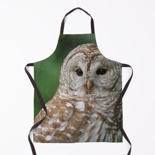 Item preview, Barred Owl  designed and sold by Erin LeFevre-Josephs.