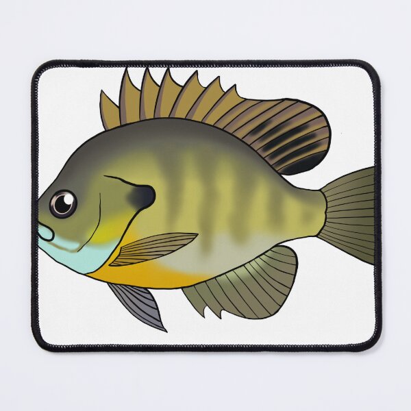 Item preview, Bluegill designed and sold by Joe Hernandez.