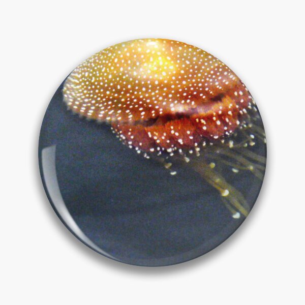 Item preview, Floating in Perth designed and sold by Larry Davis.