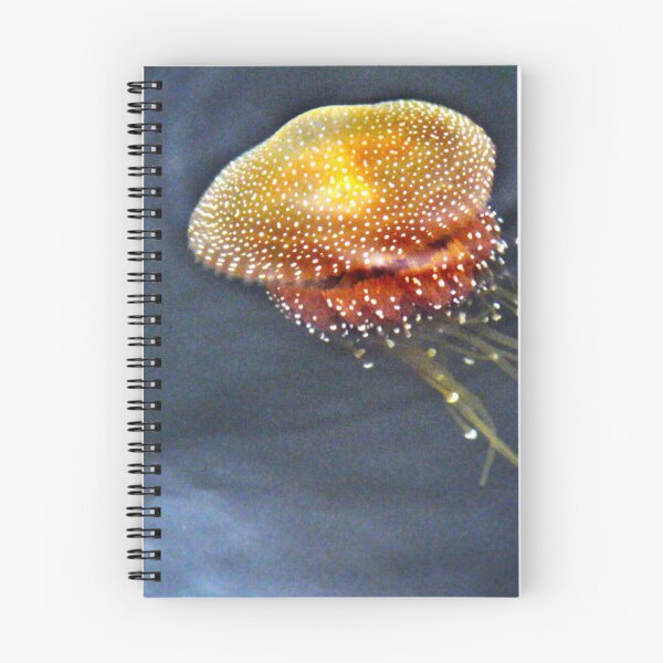 Item preview, Floating in Perth designed and sold by Larry Davis.