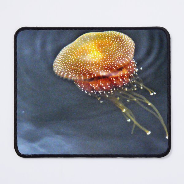 Item preview, Floating in Perth designed and sold by Larry Davis.