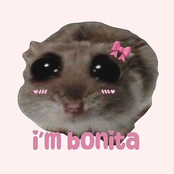 Artwork thumbnail, Sad Hamster Meme - Bonita (Pretty) by moynas