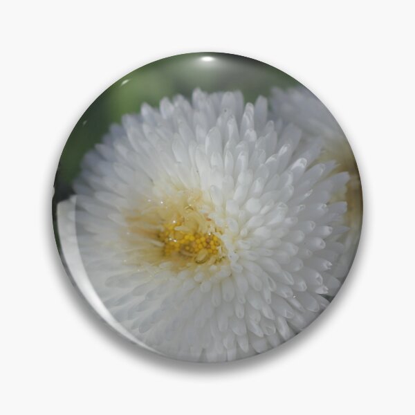 Item preview, Daisy - Bellis 'Parkinson's Double White' designed and sold by Kate Anderson Art.