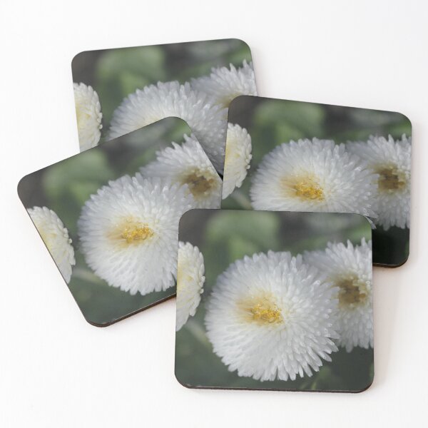Item preview, Daisy - Bellis 'Parkinson's Double White' designed and sold by Kate Anderson Art.