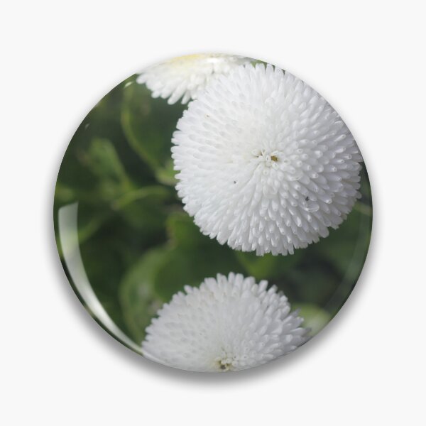 Item preview, Daisy - Bellis 'Parkinson's Double White' designed and sold by Kate Anderson Art.