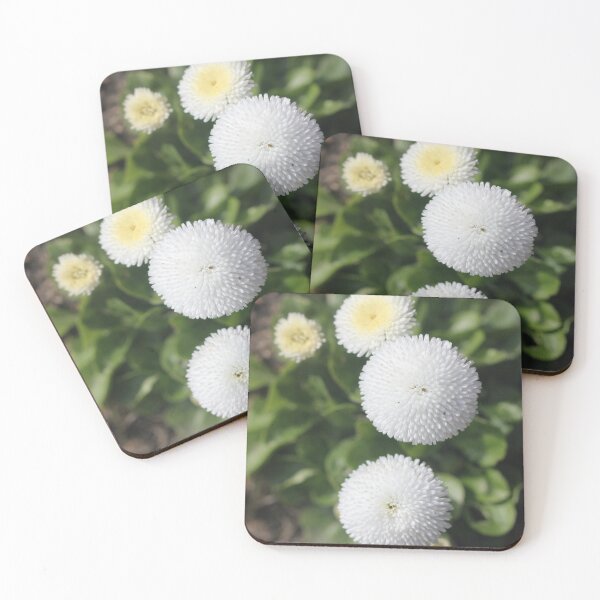 Item preview, Daisy - Bellis 'Parkinson's Double White' designed and sold by Kate Anderson Art.