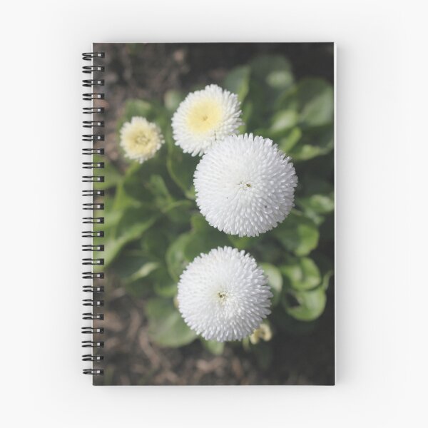 Item preview, Daisy - Bellis 'Parkinson's Double White' designed and sold by Kate Anderson Art.
