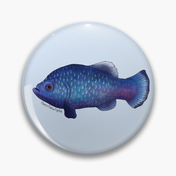 Item preview, Charco Palma Pupfish Painting designed and sold by Meganemer4.