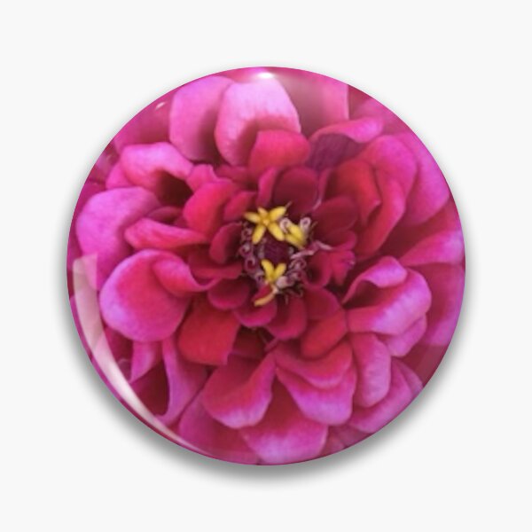 Item preview, Zinnia elegans (pink) designed and sold by PeachesandPear.