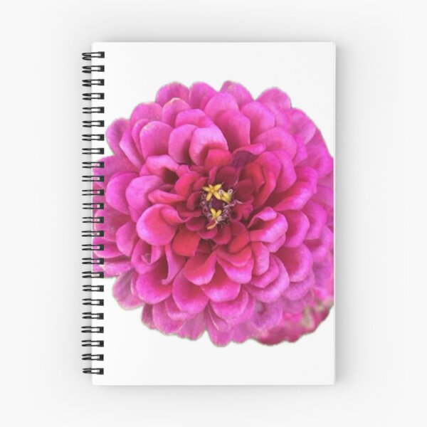 Item preview, Zinnia elegans (pink) designed and sold by PeachesandPear.