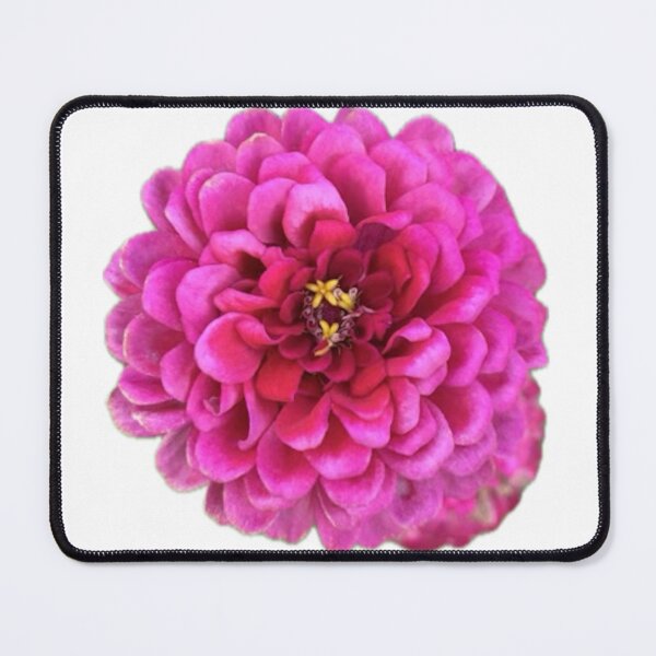 Item preview, Zinnia elegans (pink) designed and sold by PeachesandPear.