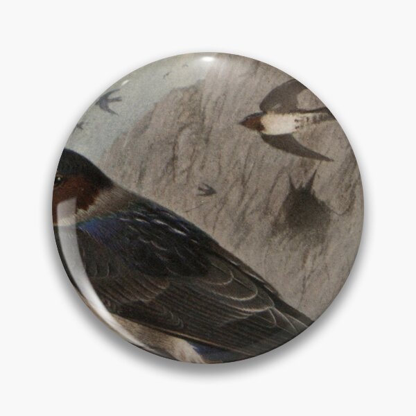 Item preview, Red-faced Rock Martin by Henrik Grønvold from "Birds of La Plata" by William Henry Hudson, 1920 designed and sold by mariapopova.