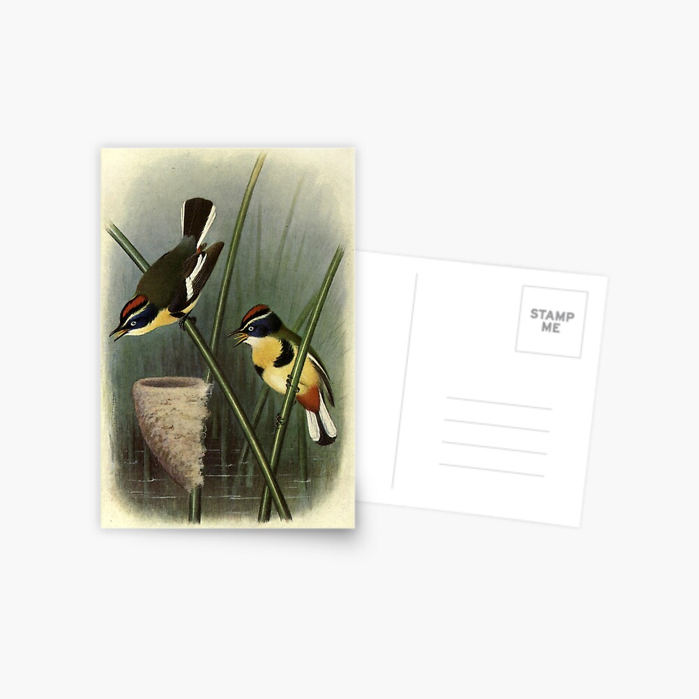 Item preview, Postcard designed and sold by mariapopova.
