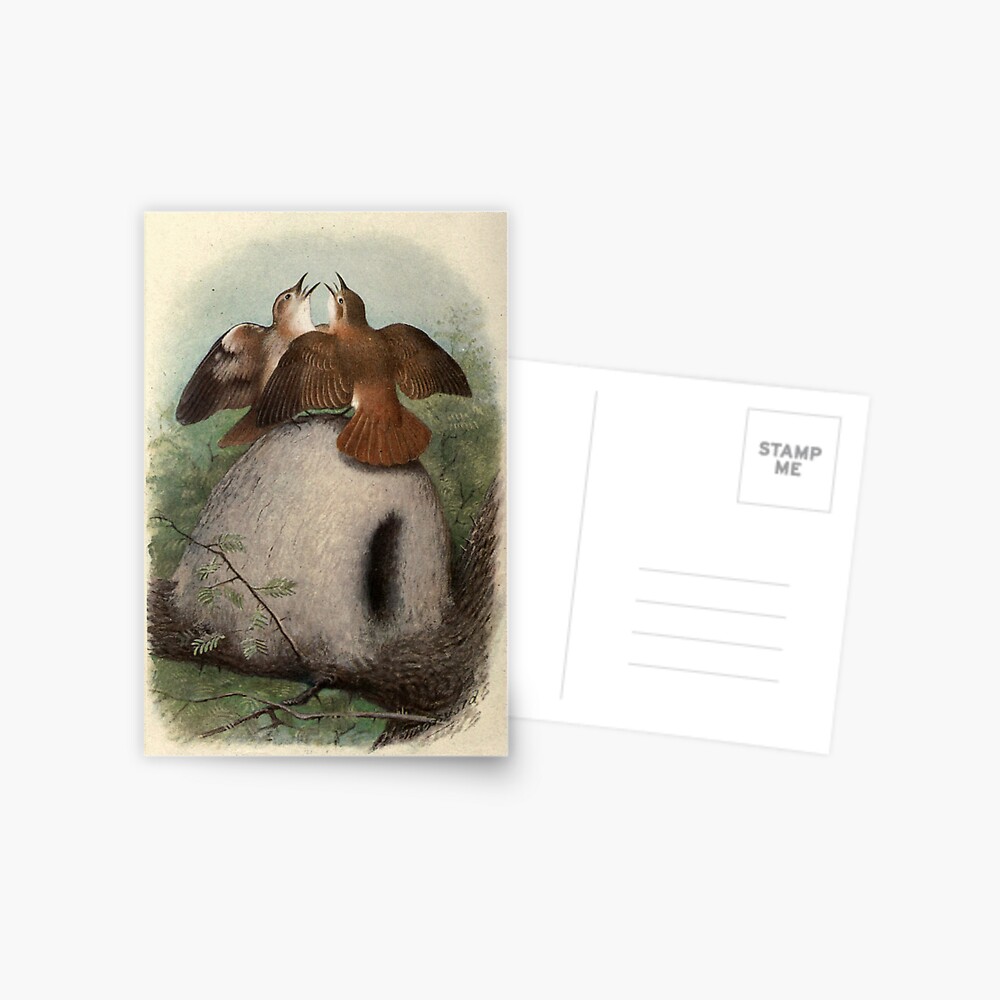 Item preview, Postcard designed and sold by mariapopova.