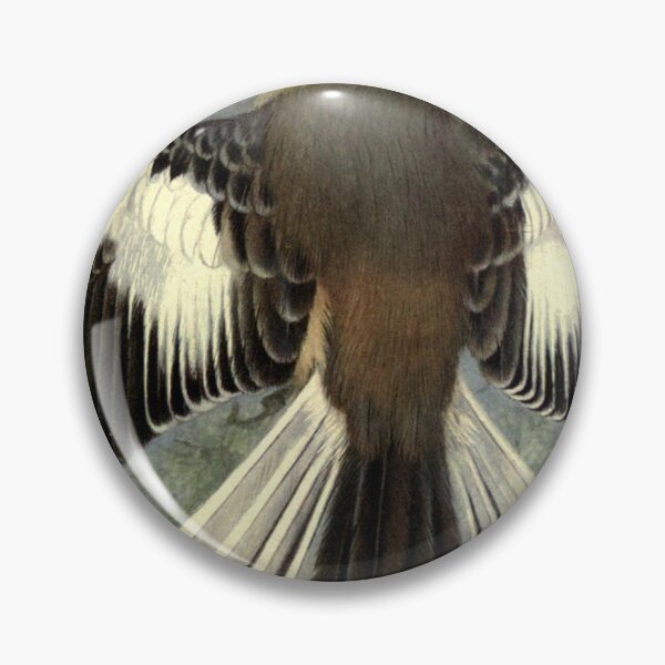 Item preview, White-banded Mockingbird by Henrik Grønvold from "Birds of La Plata" by William Henry Hudson, 1920 designed and sold by mariapopova.