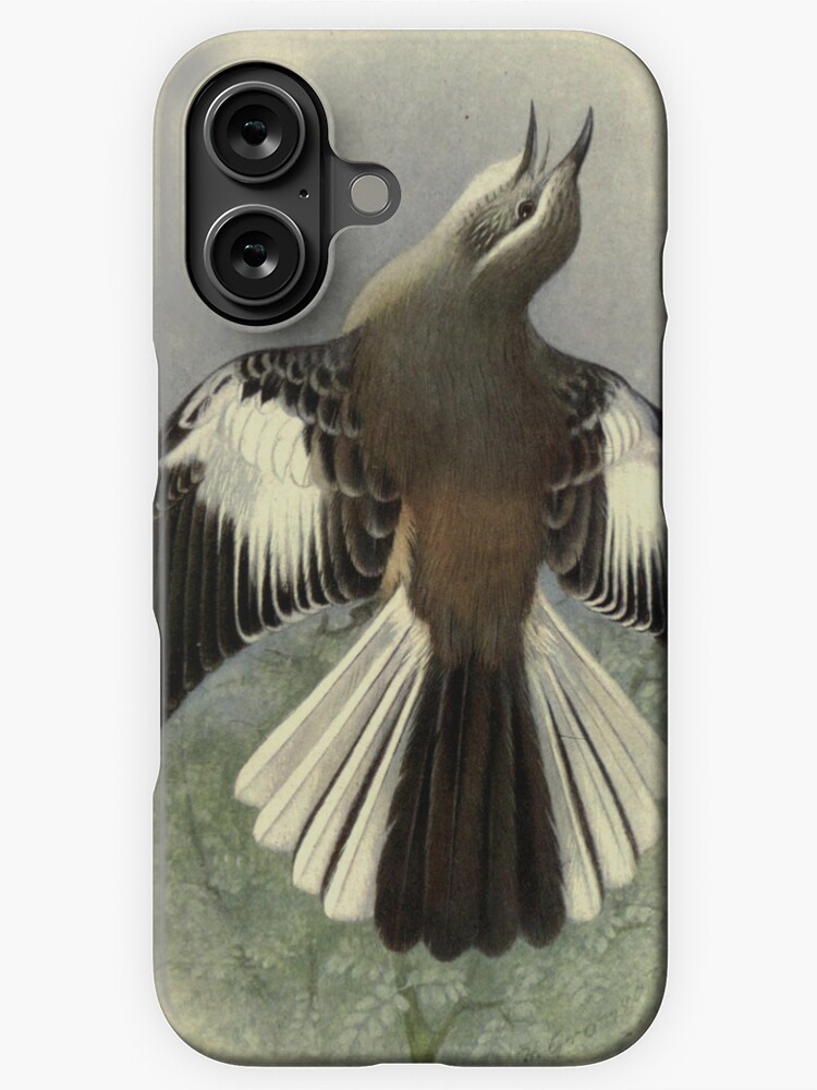 Thumbnail 1 of 4, iPhone Case, White-banded Mockingbird by Henrik Grønvold from "Birds of La Plata" by William Henry Hudson, 1920 designed and sold by mariapopova.