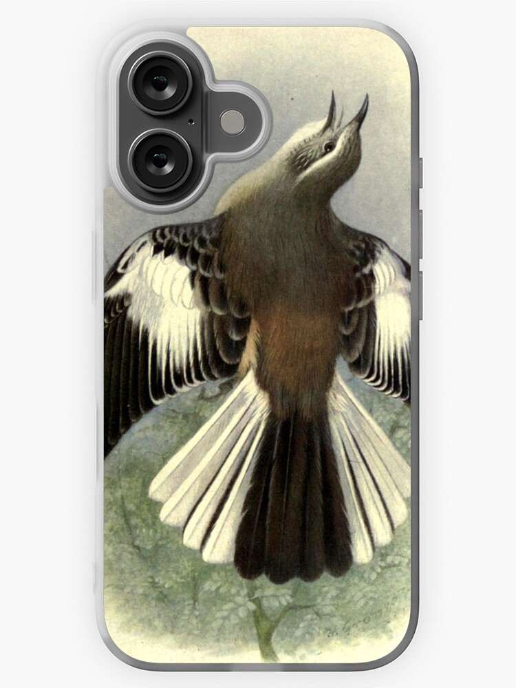 Thumbnail 1 of 5, iPhone Case, White-banded Mockingbird by Henrik Grønvold from "Birds of La Plata" by William Henry Hudson, 1920 designed and sold by mariapopova.