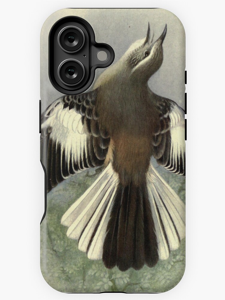 Thumbnail 1 of 4, iPhone Case, White-banded Mockingbird by Henrik Grønvold from "Birds of La Plata" by William Henry Hudson, 1920 designed and sold by mariapopova.
