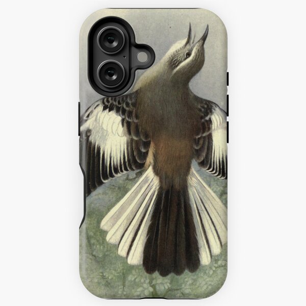 Item preview, White-banded Mockingbird by Henrik Grønvold from "Birds of La Plata" by William Henry Hudson, 1920 designed and sold by mariapopova.
