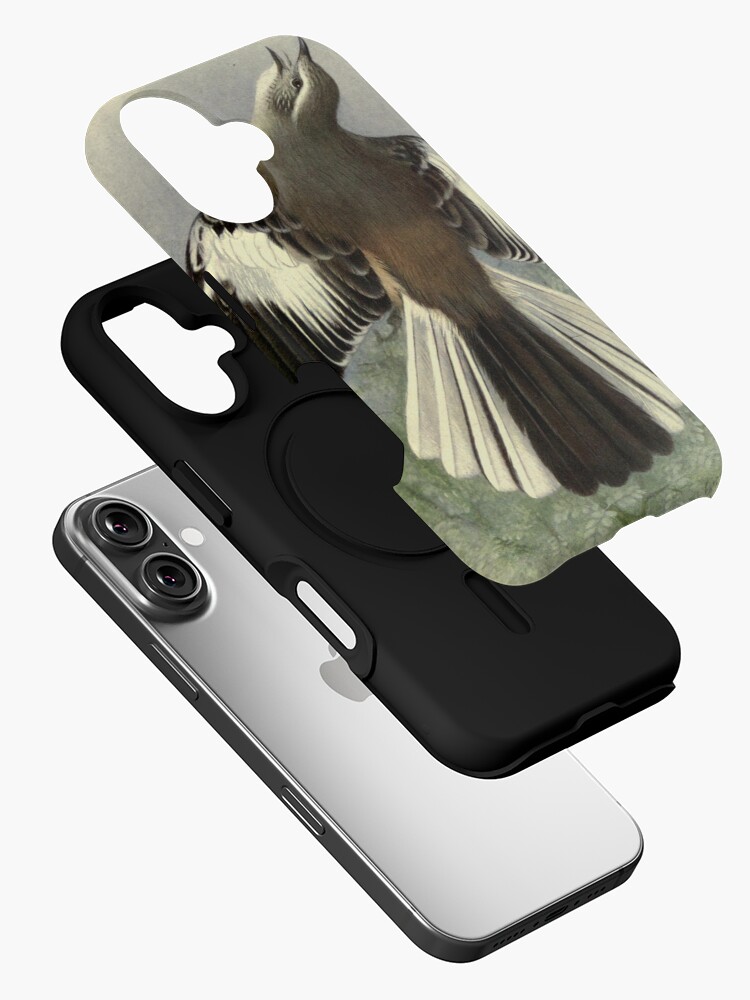 Thumbnail 2 of 4, iPhone Case, White-banded Mockingbird by Henrik Grønvold from "Birds of La Plata" by William Henry Hudson, 1920 designed and sold by mariapopova.