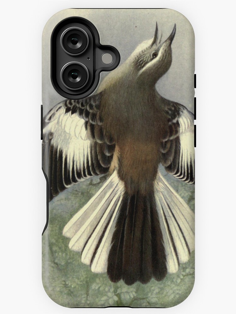 Thumbnail 1 of 4, iPhone Case, White-banded Mockingbird by Henrik Grønvold from "Birds of La Plata" by William Henry Hudson, 1920 designed and sold by mariapopova.