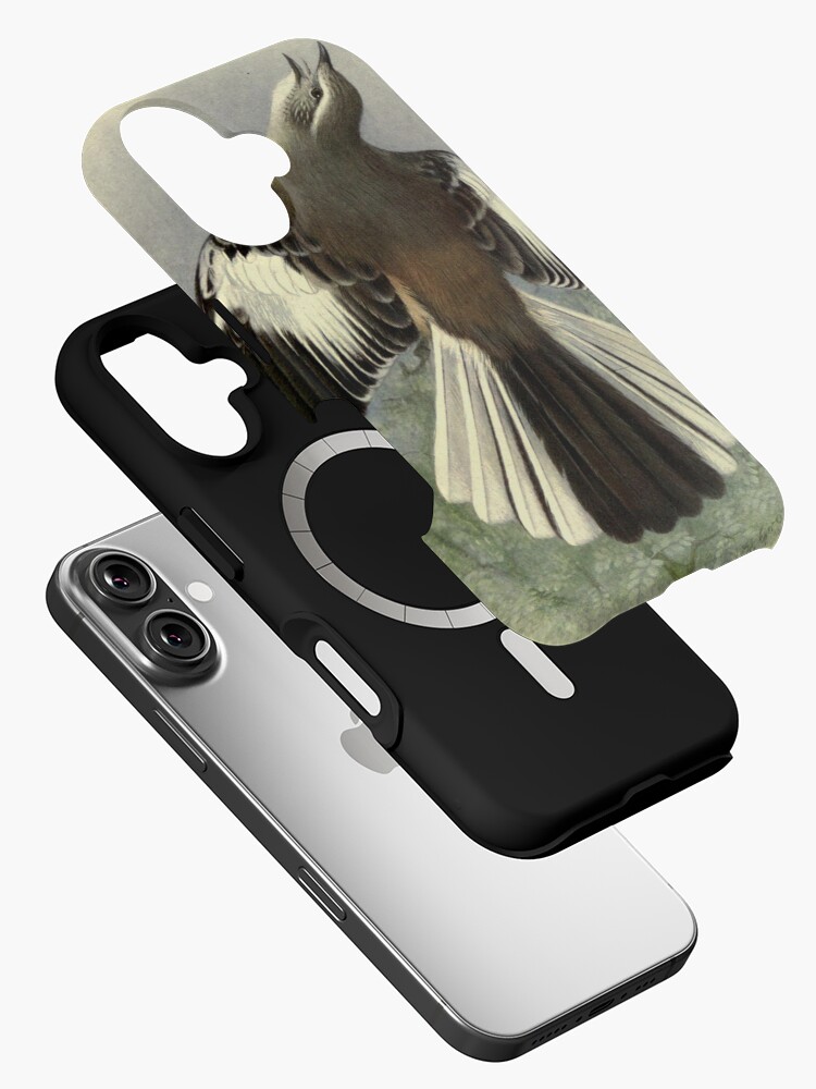 Thumbnail 2 of 4, iPhone Case, White-banded Mockingbird by Henrik Grønvold from "Birds of La Plata" by William Henry Hudson, 1920 designed and sold by mariapopova.