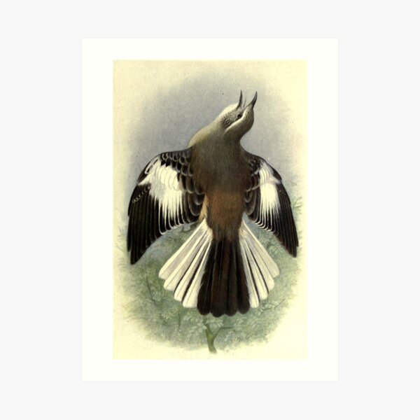 Art Print