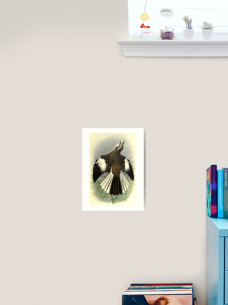 Thumbnail 2 of 3, Art Print, White-banded Mockingbird by Henrik Grønvold from "Birds of La Plata" by William Henry Hudson, 1920 designed and sold by mariapopova.