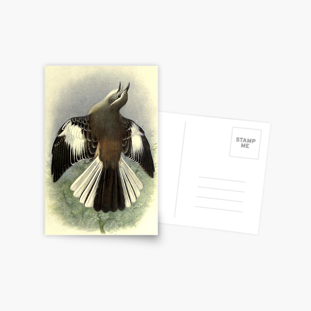 Item preview, Postcard designed and sold by mariapopova.