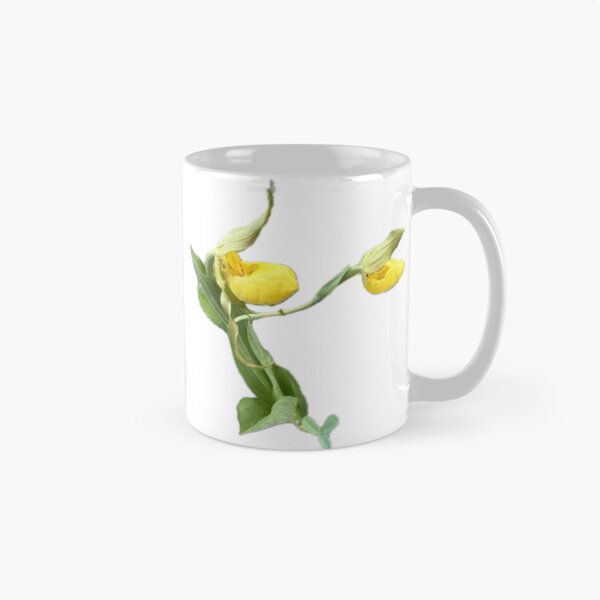 Item preview, Cypripedium parviflorum (Yellow Lady's Slippers) designed and sold by PeachesandPear.