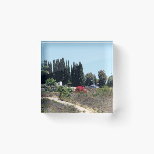Item preview, Living Above Lake Murray, San Diego designed and sold by heatherfriedman.