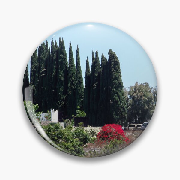 Item preview, Living Above Lake Murray, San Diego designed and sold by heatherfriedman.