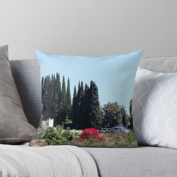 Item preview, Living Above Lake Murray, San Diego designed and sold by heatherfriedman.