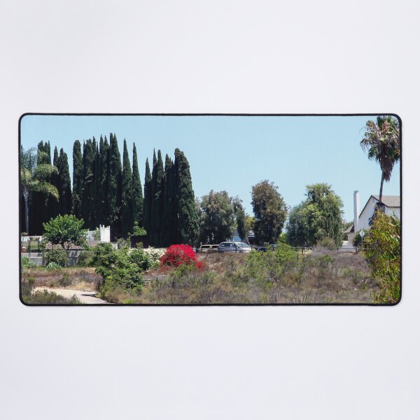 Item preview, Living Above Lake Murray, San Diego designed and sold by heatherfriedman.