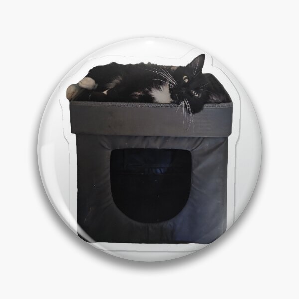 Artikelvorschau, Winston ist kastriert! (Und verrückt) entworfen und verkauft von Theon Purrjoy and Friends.