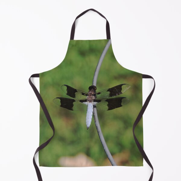 Item preview, Blue Dasher Dragonfly on Tomato Cage designed and sold by gistinker.