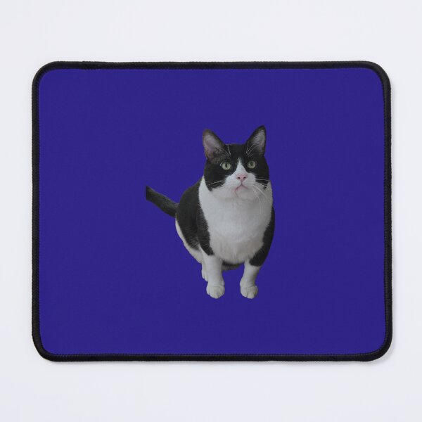Item preview, Francis Keel the Birb v2 designed and sold by Theon Purrjoy and Friends.