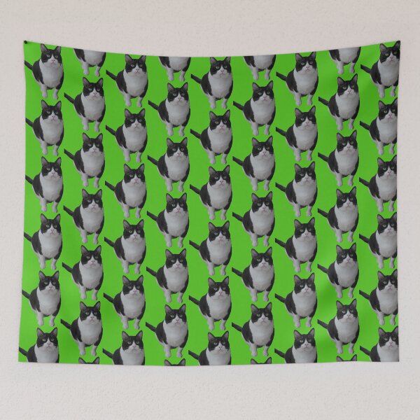 Item preview, Francis Keel the Birb v2 designed and sold by Theon Purrjoy and Friends.
