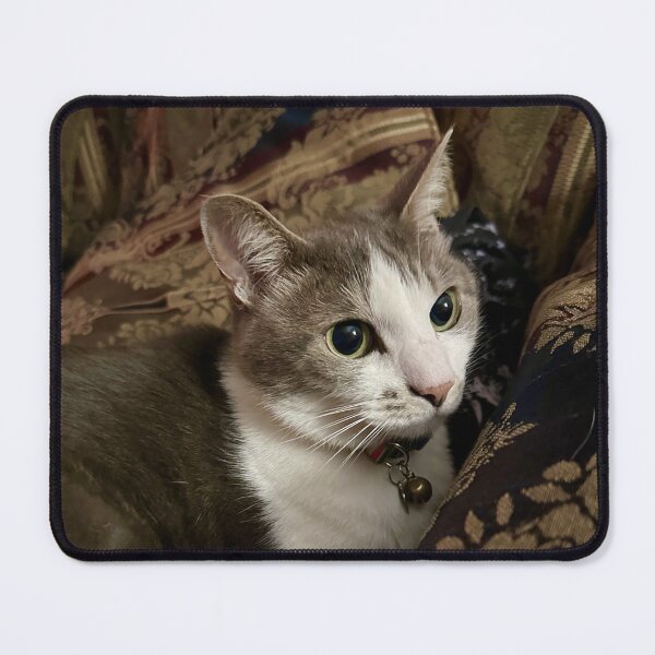 Item preview, Chill Cat designed and sold by NaniKore Shop.