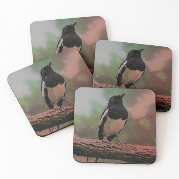 Item preview, Oriental Magpie-Robin designed and sold by schostix.
