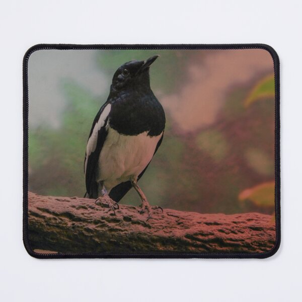 Item preview, Oriental Magpie-Robin designed and sold by schostix.