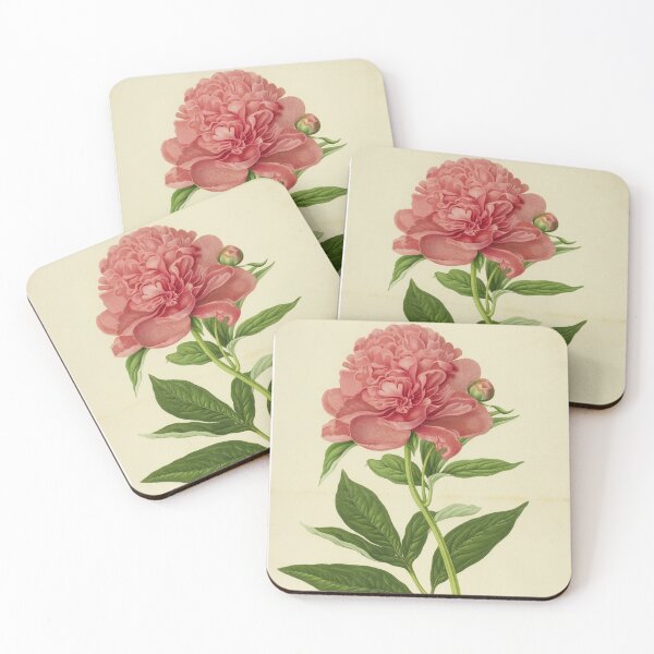 Artikelvorschau, rosa Rose Blumen-Vintage-Design entworfen und verkauft von Lara L. Bowers.