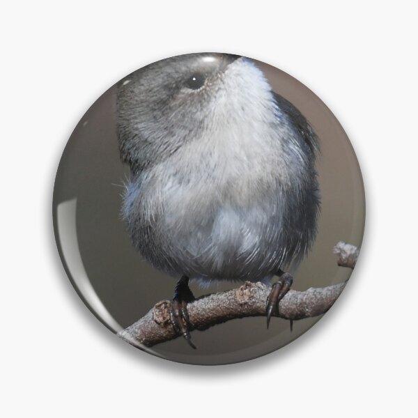 Item preview, SWEET Superb Fairy-wren designed and sold by Seesee.